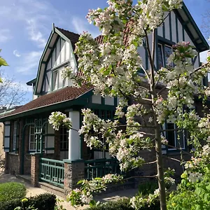 Tree & B Bed & Breakfast